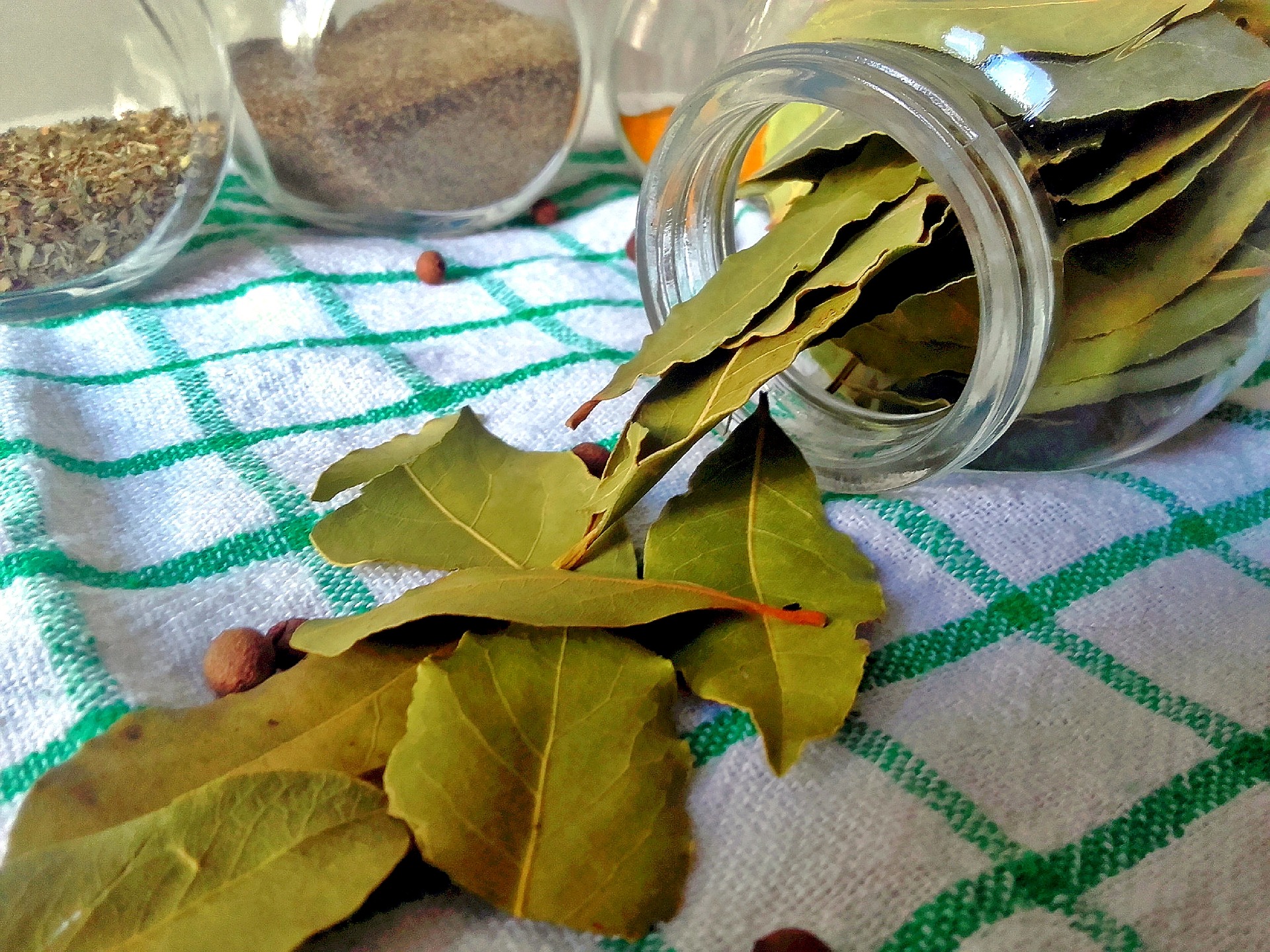 Bay Leaf - Tej Patta - Health Benefits - Lakshmi Recipes